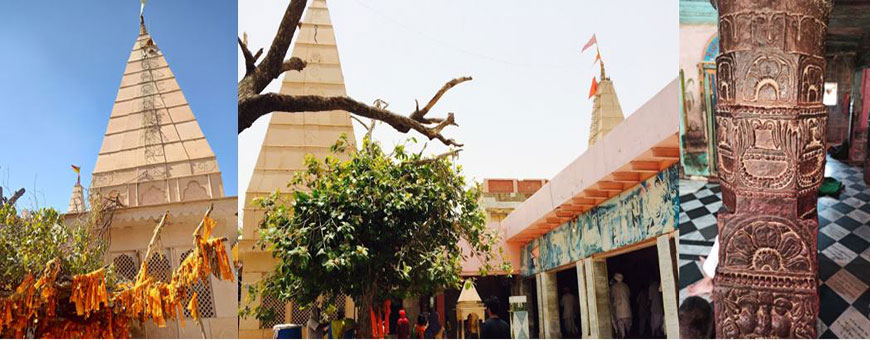 Chaurasi-Khambha-Temple-History-Banyan-Tree-Manorath-Old-Gokul-Mahaban