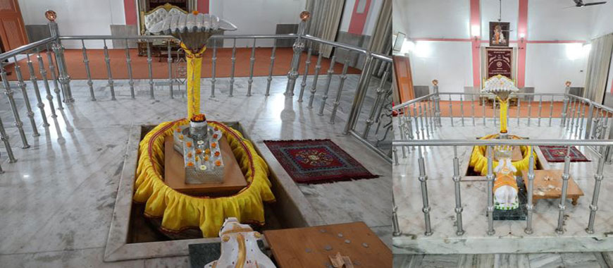 Parad-Shivlinga-150-kg-mercury-Paradeshwar-Mahadev-Harihar-Ashram-Kankhal-Haridwar