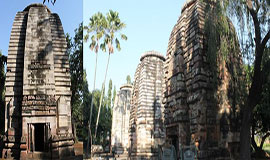 Bhareswar-Laxmaneshwar-Shatrughneshwar-Temple-Bhubneswar-Oldest-Temple-Bhubaneswara