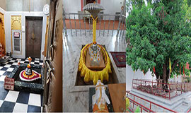 Parad-Shivlinga-Maha-Mrutunjay-Mahadev-Rudraksh-Tree-Harihar-Ashram-Kankhal-Haridwar