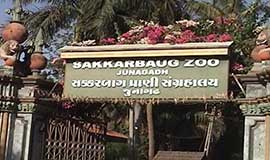 Sakkarbaug-Garden-Junagadh