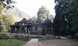 Shiva-Temple-Polo-Forest